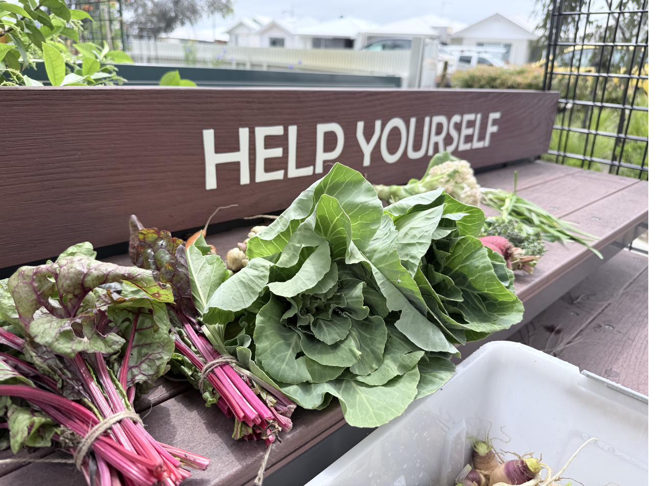 Seasonal produce on the help-yourself bench